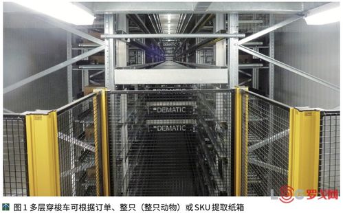 澳大利亞NCMC肉類加工廠提高競爭力的秘訣 自動(dòng)化物流系統(tǒng)與計(jì)算機(jī)系統(tǒng)集成服務(wù)