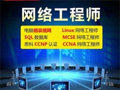 沈陽皇姑-網(wǎng)絡(luò)工程師培訓(xùn)-電腦培訓(xùn)服務(wù)-系統(tǒng)集成實(shí)戰(zhàn)課程